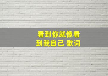 看到你就像看到我自己 歌词